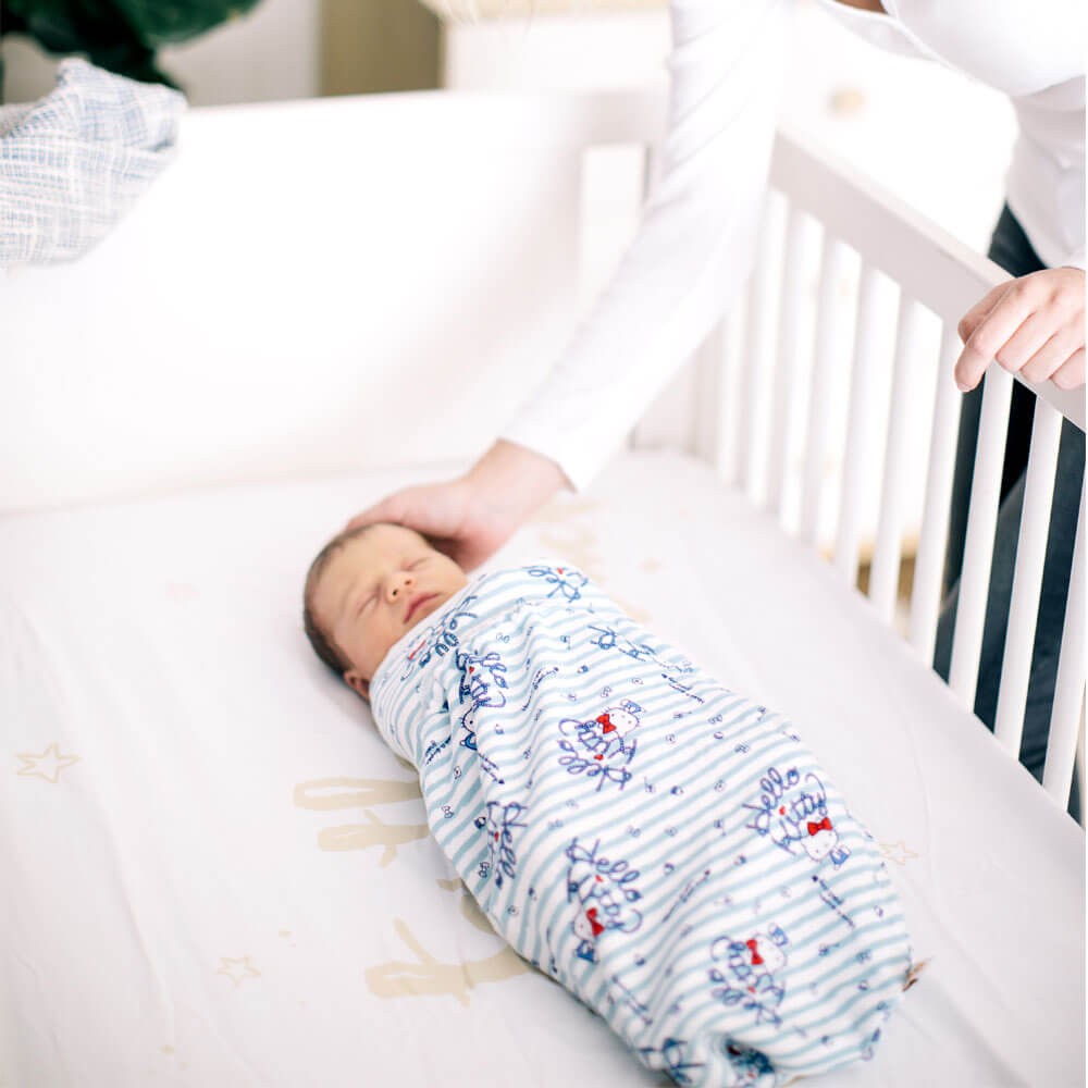 ARRULLO | HELLO KITTY NAVEGA | ERGOBABY